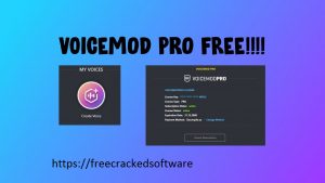 Voicemod Pro 2.21.0.44